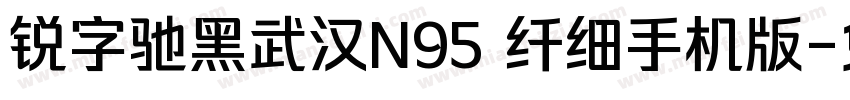 锐字驰黑武汉N95 纤细手机版字体转换